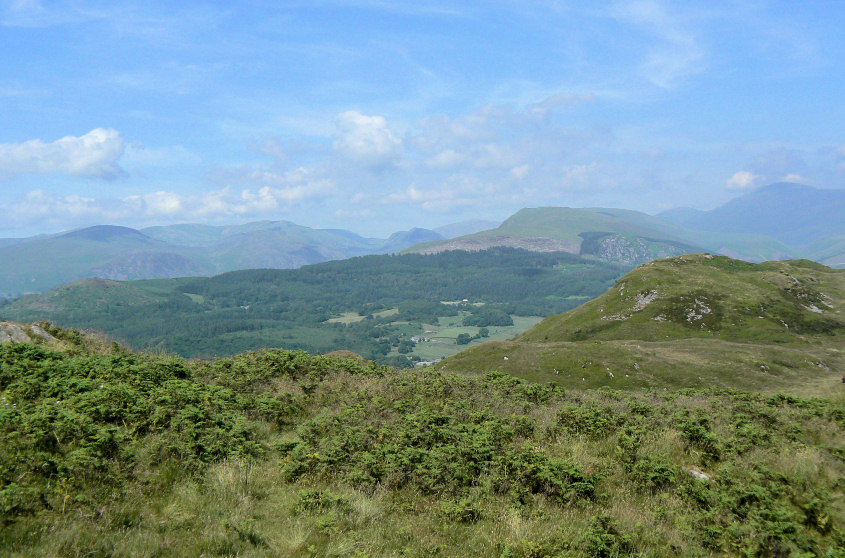 Whin Rigg Whin Rigg